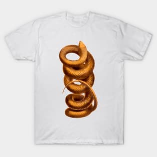 Coiled snake T-Shirt